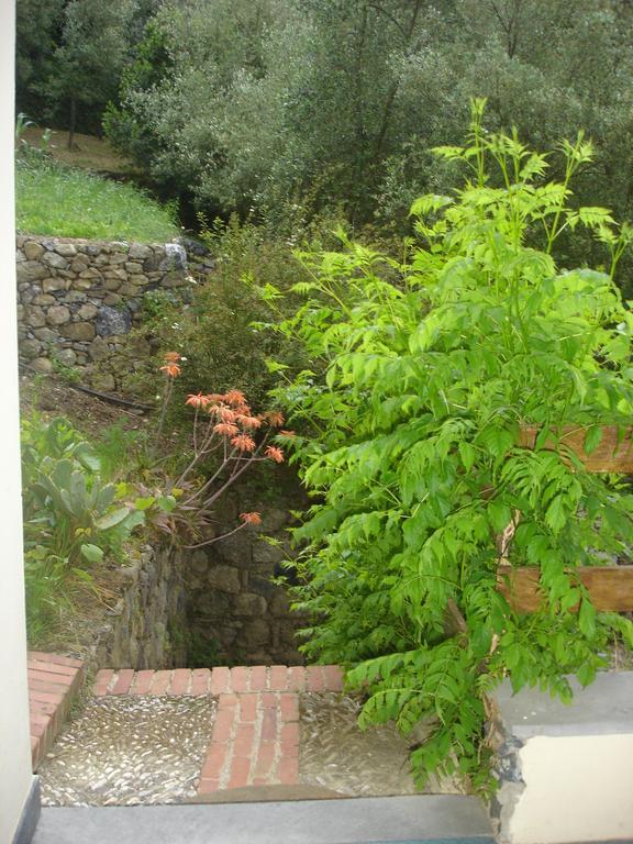 Angel'S House Apartment Monterosso al Mare Bagian luar foto